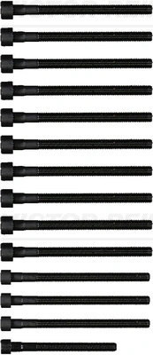 Set suruburi chiulasa Victor Reinz BMW 5 (E60) 2004-2010 - 14-32315-01