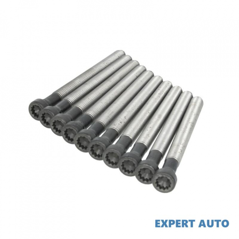 Set suruburi chiulasa Volkswagen VW CADDY III caro