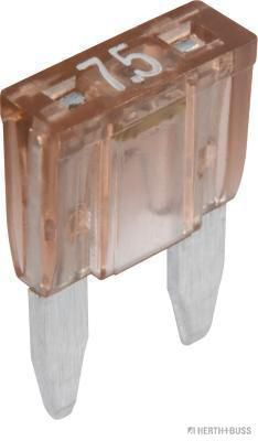 Siguranta fuzibila HERTH+BUSS ELPARTS 50295676066