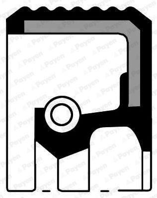 Simering, arbore cotit spre cutia de viteze (NA5037 PAYEN) ARO,DACIA,MAHINDRA,MITSUBISHI,NISSAN,OPEL,RENAULT,SUZUKI,VAUXHALL,VOLVO