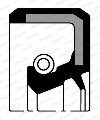 Simering, arbore cotit spre cutia de viteze (NA5324 PAYEN) Citroen,DAIHATSU,FAW (TIANJIN),GEELY,LIFAN,PERODUA,PEUGEOT,SUBARU,TOYOTA,ZHONGHUA(BRILLIANCE)
