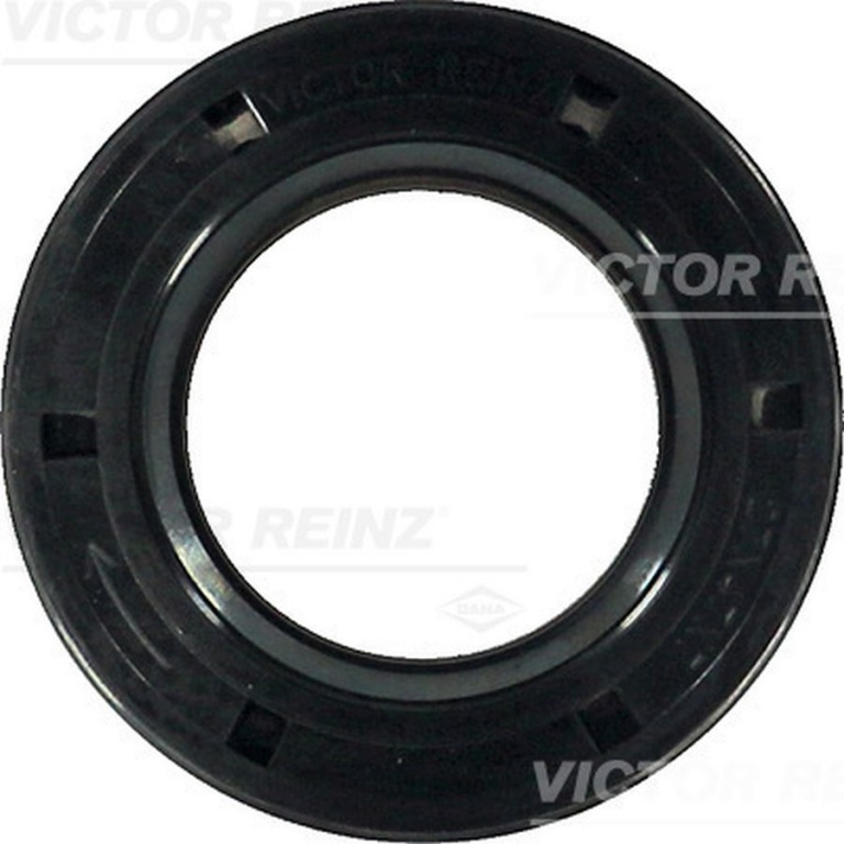 Simering Ax came PEUGEOT 1007 KM VICTOR REINZ 813555200