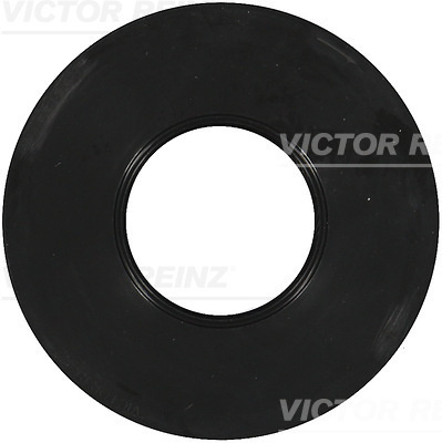 Simering, ax cu came chiulasa (811054300 VICTOR RE