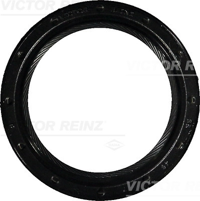 Simering, ax cu came VICTOR REINZ 81-34391-00 pentru VW GOLF IV Variant (1J5) 2002-2006