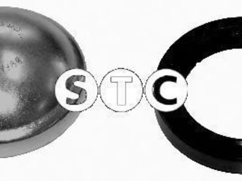 Simering, butuc roata FORD ESCORT CLASSIC Turnier (ANL) (1999 - 2000) STC T404849