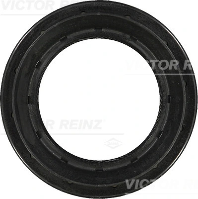 Simering diferential Victor Reinz BMW 5 Gran Turismo (F07) 2009-2012 - 81-29412-00