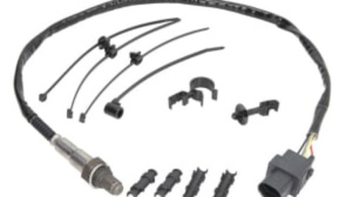 Sonda lambda (numar fire 5, 800mm) AUDI A1, A3, A4 ALLROAD B8, A4 B7, A4 B8, A5, A6 ALLROAD C6, A6 ALLROAD C7, A6 C5, A6 C6, A6 C7, A7, A8 D3, A8 D4, Q3, Q5, Q7, R8 1.0-6.0 09.93-