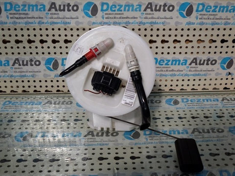 Sonda litrometrica Ford Transit Connect, 2T1UAB2