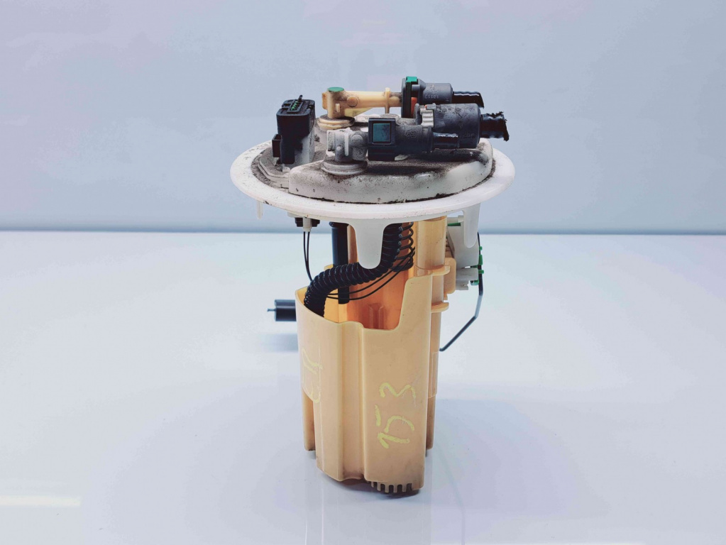 Sonda litrometrica Peugeot 508 [Fabr 2010-2018] 96