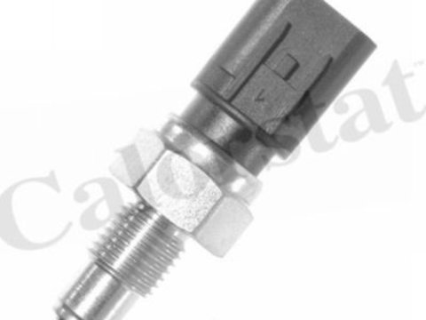 Sonda marsarier MITSUBISHI GRANDIS NA W VERNET RS5553