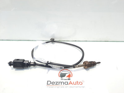 Sonda temperatura gaze, Audi Q5 (8RB) [Fabr 2008-2