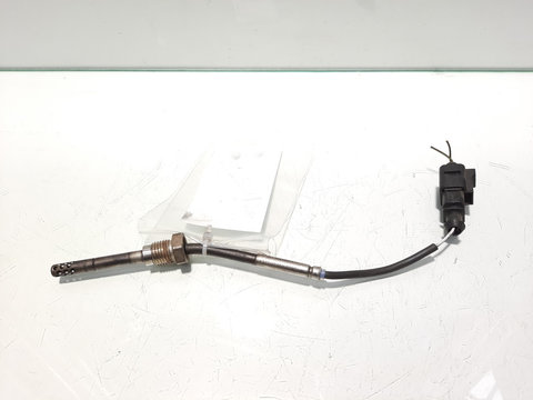 Sonda temperatura gaze, cod 059906088N, Audi A6 (4F2, C6) 2.7 TDI, BPP (id:461889)