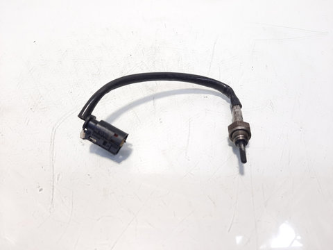 Sonda temperatura gaze, cod 7807686, Bmw 5 Touring (F11), 2.0 diesel, N47D20C (id:613462)