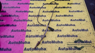 Sonda temperatura gaze evacuare Audi A4 (2001-2004