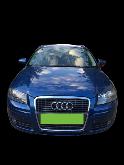 Sorb pompa ulei Audi A3 8P/8PA [facelift