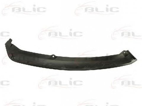 Spoiler FORD FOCUS III BLIC 5511002536223P