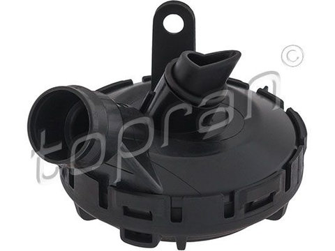 Supapa 113 633 TOPRAN pentru Audi A6 Audi A4 Audi A8