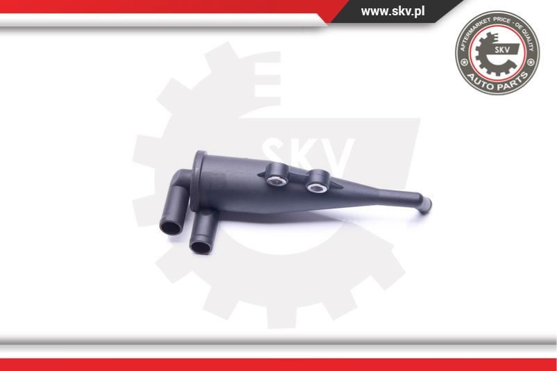 Supapa absorbtie ; BMW X5 LAND ROVER Range Rover III Sport ; 11151705237