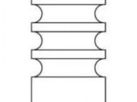 Supapa admisie AUDI A4 8EC B7 INTERVALVES 3361002