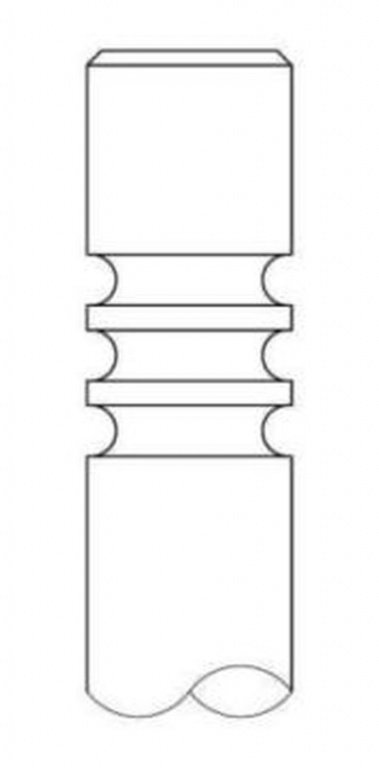 Supapa admisie AUDI A4 Avant 8D5 B5 INTERVALVES 21