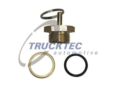 Supapa admisie TRUCKTEC AUTOMOTIVE 01.35.007