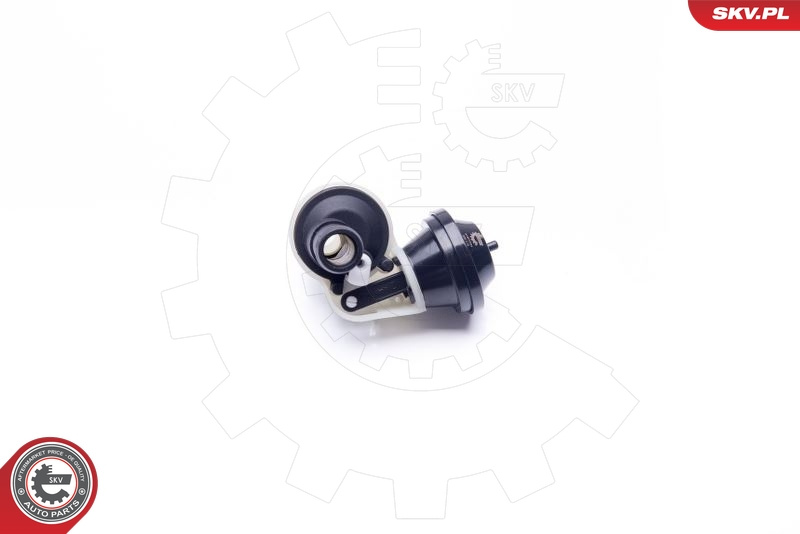 Supapa control, agent frigorific pentru AUDI A4 A6