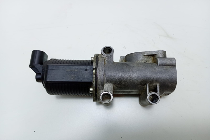 Supapa EGR 2035230 Renault Espace 4 [2002 - 2006]