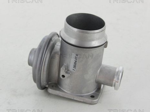 Supapa egr 8813 11102 TRISCAN pentru Bmw Seria 3