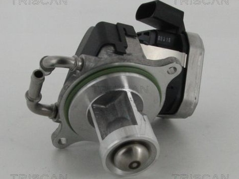 Supapa egr 8813 23002 TRISCAN pentru Mercedes-benz A-class Mercedes-benz B-class