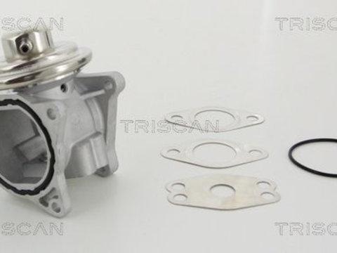 Supapa egr 8813 29111 TRISCAN pentru Vw Passat Skoda Octavia Skoda Fabia Vw Golf Seat Ibiza Seat Cordoba Vw Touran Audi A3 Vw Rabbit Seat Altea Seat Toledo Vw Jetta Vw Vento Seat Leon Vw Beetle Vw New Vw Novo Vw Bora Skoda Superb