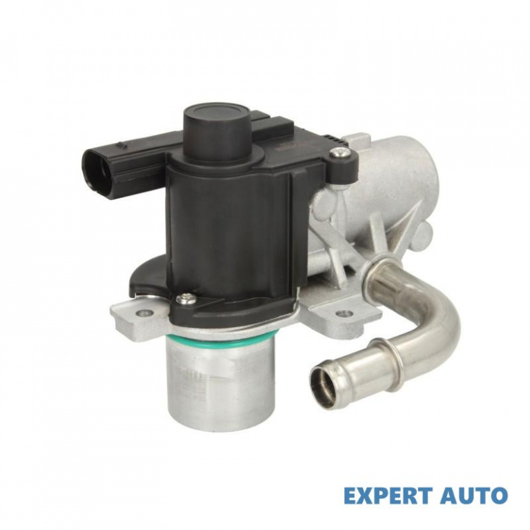 Supapa egr Dacia LODGY 2012-2016 #4 0892075