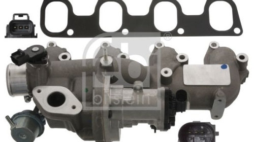 Supapa EGR Ford Tourneo Connect, Transit