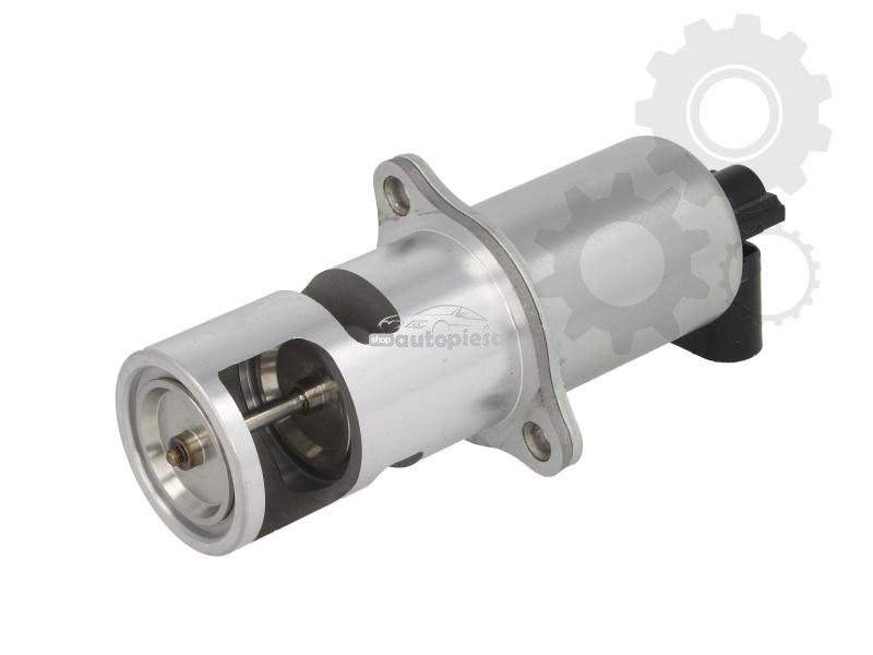 Supapa EGR NISSAN INTERSTAR caroserie (X70) (2002 