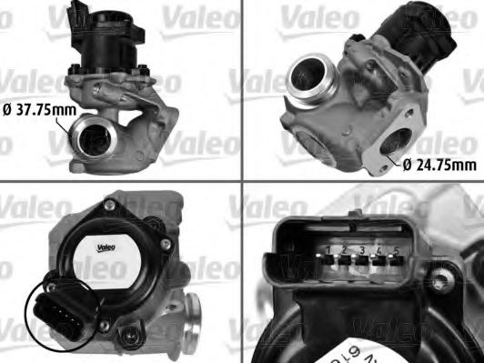 Supapa EGR PEUGEOT 1007 (KM_) (2005 - 2016) VALEO 