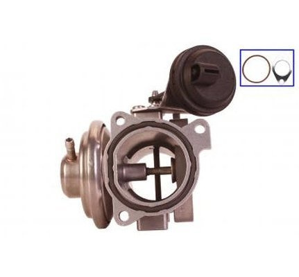 Supapa EGR QWP WEG105 pentru AUDI A2 (8Z0), A2 (8Z0) 2000-2005