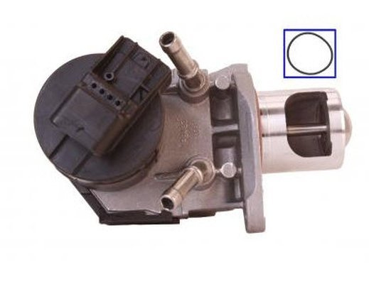Supapa EGR QWP WEG159 pentru BMW 1 (E81), 3 Tourin