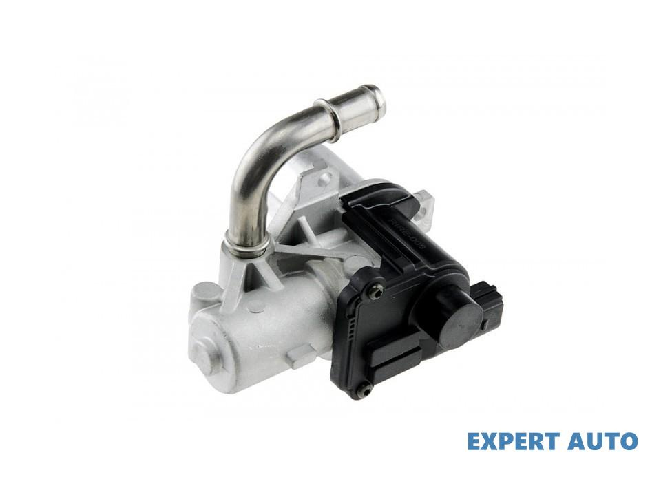 Supapa egr Renault Megane III (2008->)[BZ0/1_,KZ0/1_,DZ0/1_] #1 8200846454