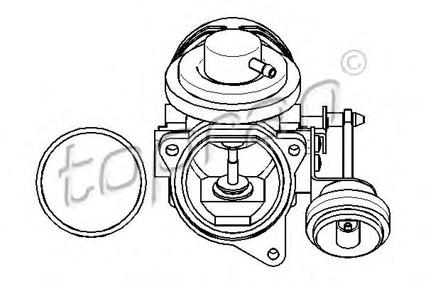 Supapa EGR SEAT LEON (1M1) (1999 - 2006) TOPRAN 11