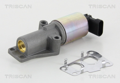 Supapa EGR TRISCAN 8813 24010