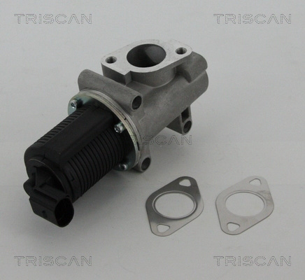 Supapa EGR TRISCAN 881310005 se potrives