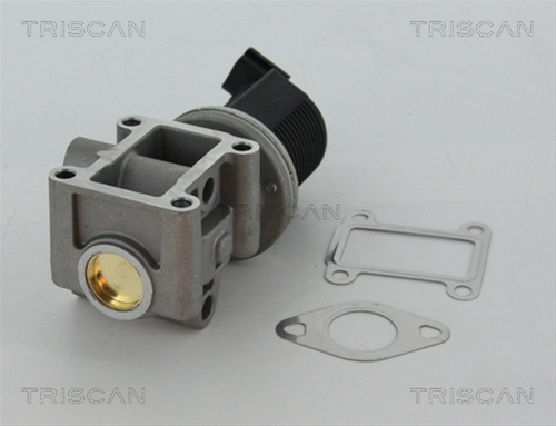 Supapa Egr Triscan Lancia 8813 24082