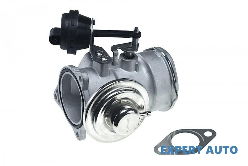 Supapa egr Volkswagen Passat B5(1996-2005) #1 038131501AA