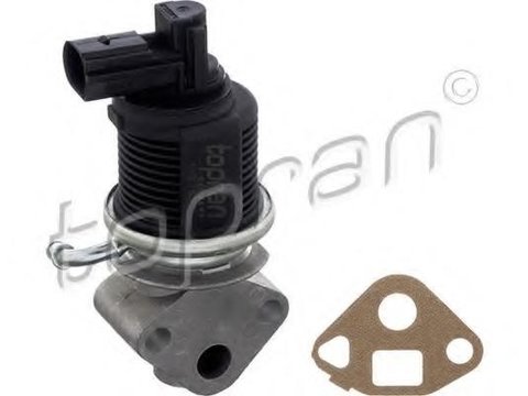 Supapa EGR VW POLO limuzina (6KV2), SEAT INCA (6K9), SEAT AROSA (6H) - TOPRAN 113 753