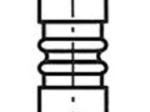 Supapa evacuare AUDI A6 (4B2, C5) (1997 - 2005) FRECCIA R6454/BMARCR piesa NOUA