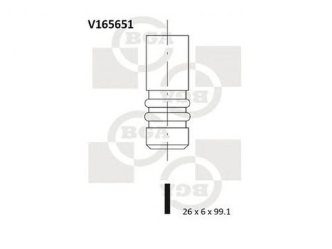 Supapa evacuare AUDI TT Roadster 8J9 BGA V165651