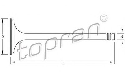 Supapa evacuare BMW 3 Cabriolet E46 TOPRAN 501421