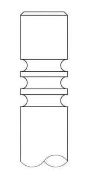 Supapa evacuare FORD FOCUS (DAW, DBW) (1998 - 2007