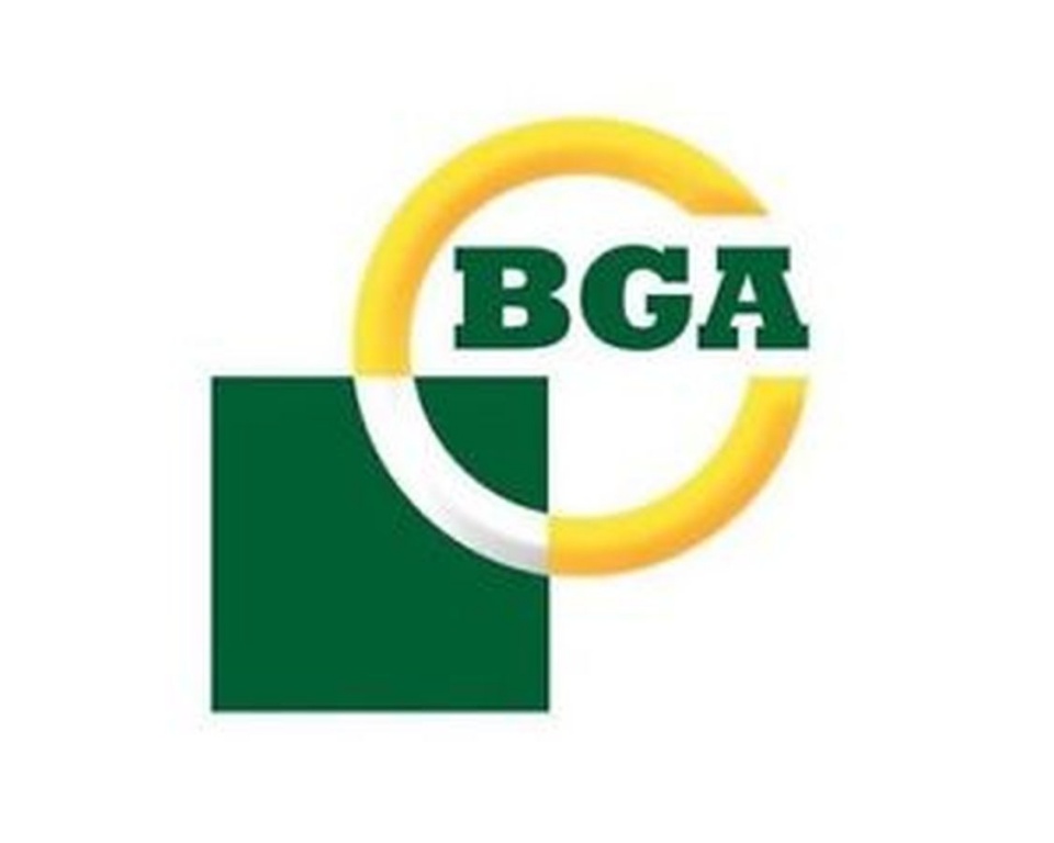 Supapa evacuare MERCEDES-BENZ S-CLASS W140 BGA V026166
