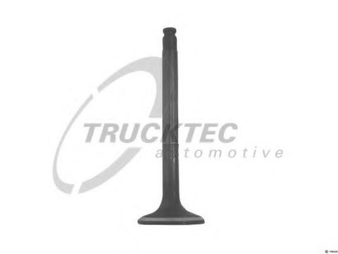 Supapa evacuare MERCEDES VITO bus (638) (1996 - 2003) TRUCKTEC AUTOMOTIVE 02.12.140