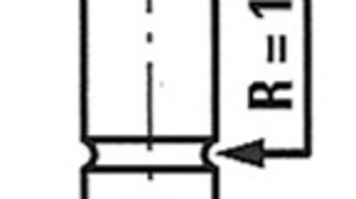 Supapa evacuare (R4575RCR FRE) DACIA,REN